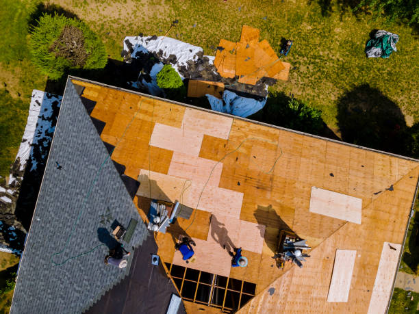 Trusted Petersburg, IL Roofing Contractor Experts