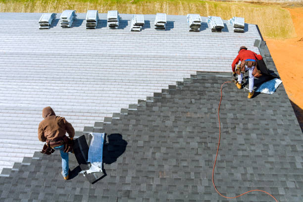 Best Roof Waterproofing Services  in Petersburg, IL