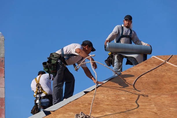 Best Roof Waterproofing Services  in Petersburg, IL