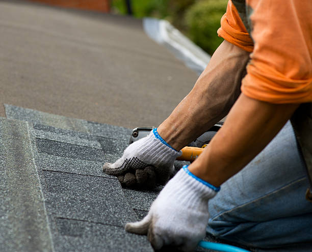 Roof Waterproofing Services in Petersburg, IL
