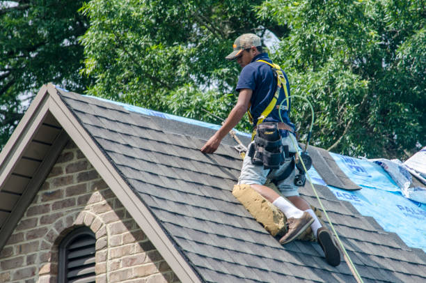Best Metal Roofing Contractor  in Petersburg, IL